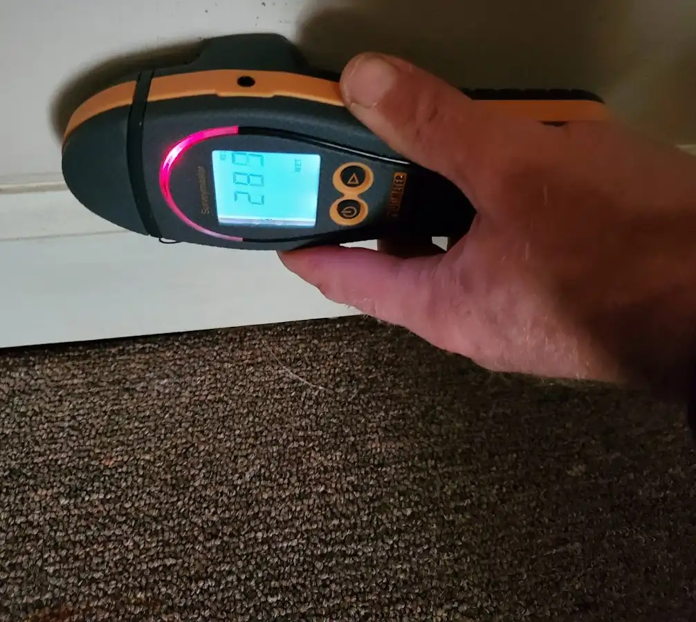 Moisture detection at baseboard during Sewage Cleanup & Sanitation in Daly City